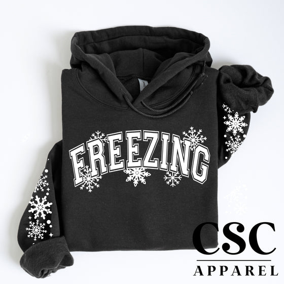 Freezing Hoodie/Crewneck